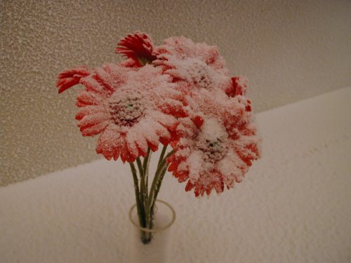 Frosteffekt Blume